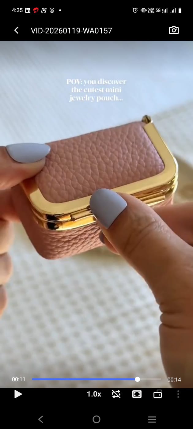 Luxury Mini Jewelry Organizer for Travel