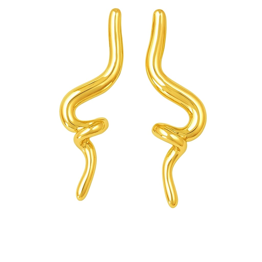 Irregular Scribble type Earring