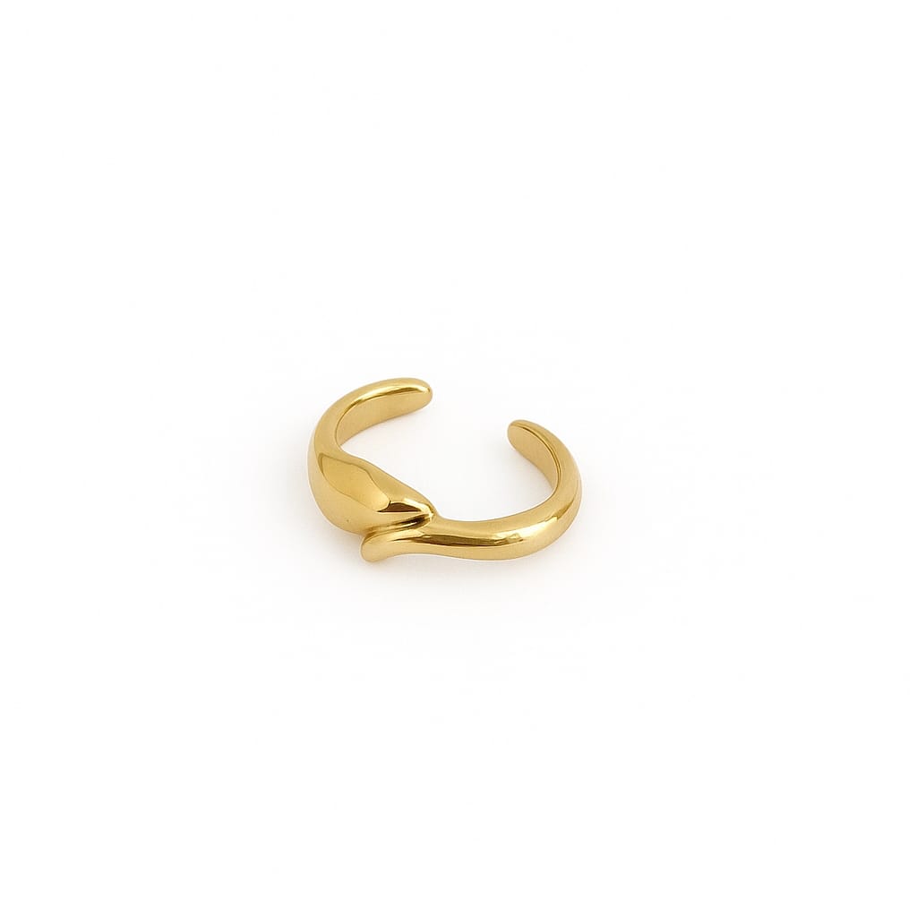 Serpent Embrace Ring – 18K Gold-Plated